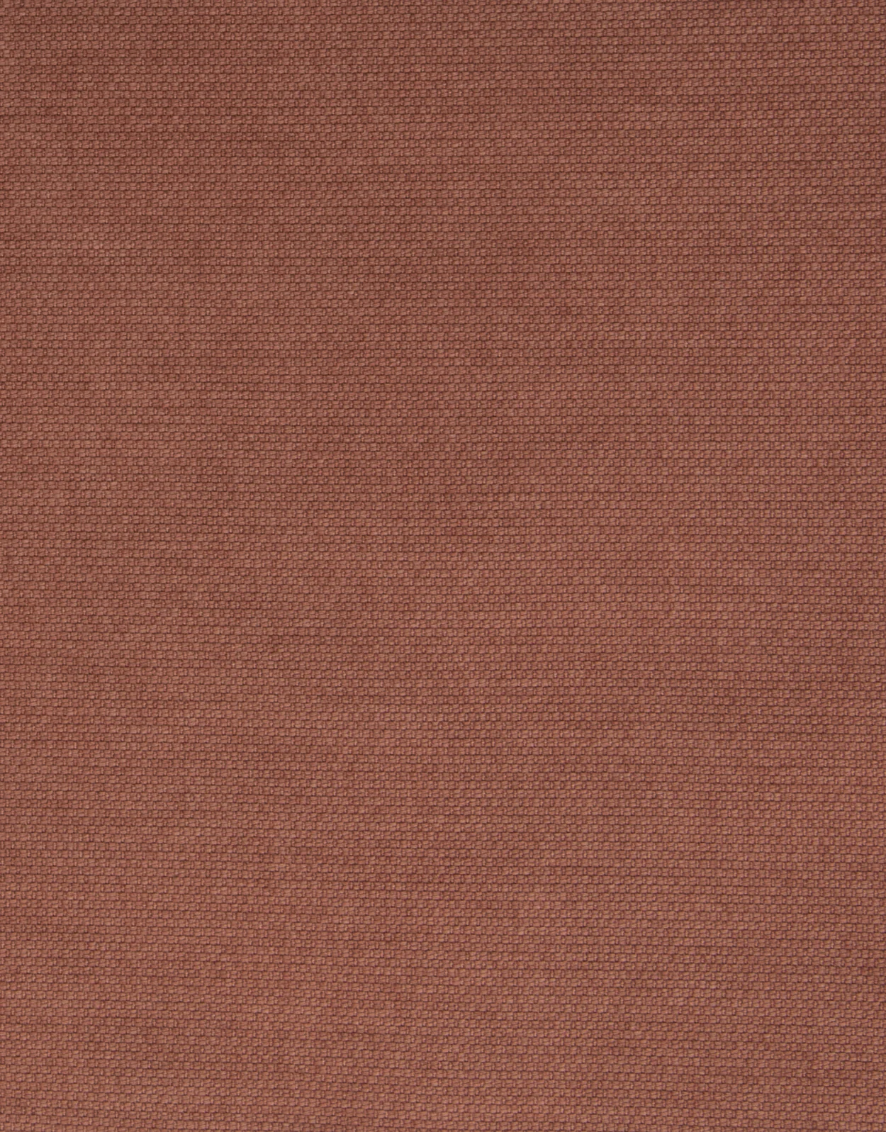 Soho Terracotta Chinos - Image 5